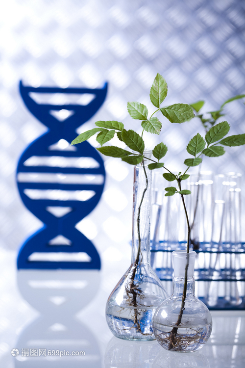 現代生物技術實驗室 融合化學、生物有機與軟件的創新研究