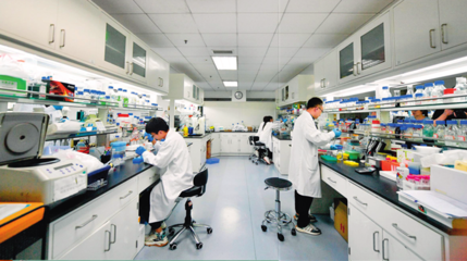 人工合成己糖 生物技術前沿的創新探索