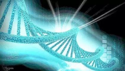 硬科技創(chuàng)業(yè)來(lái)西安丨天隆科技 以匠心耕耘數(shù)載，攜重器打破壟斷